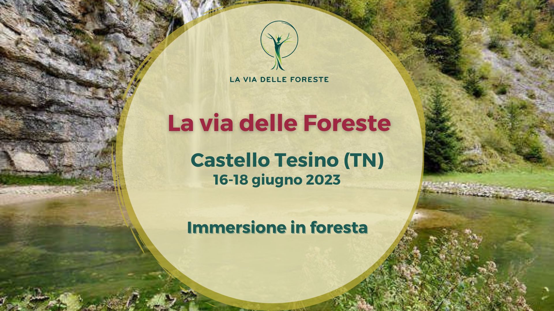 LGV cover Tesino foresta
