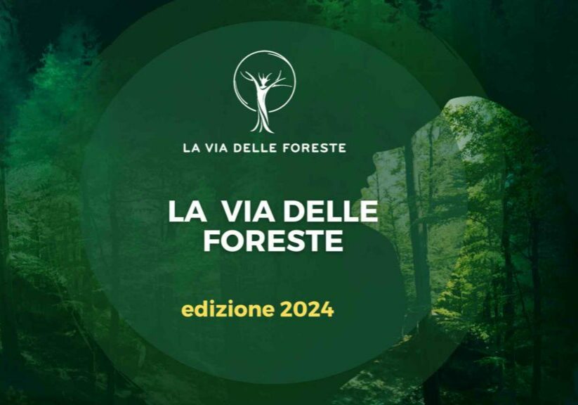 Foreste 2024